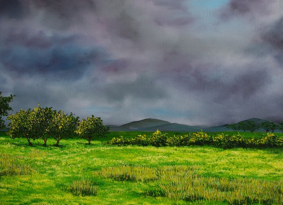 Storm Approaching