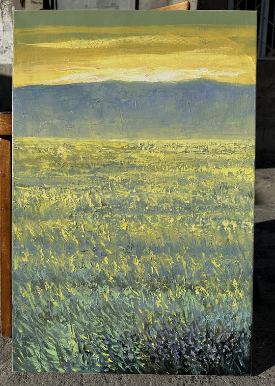 Field at Sunrise A24 40x60cm.