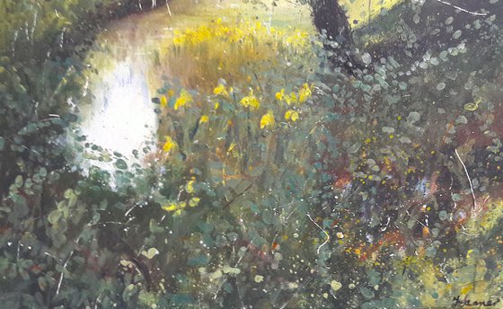Secret woodland pond with yellow Irises