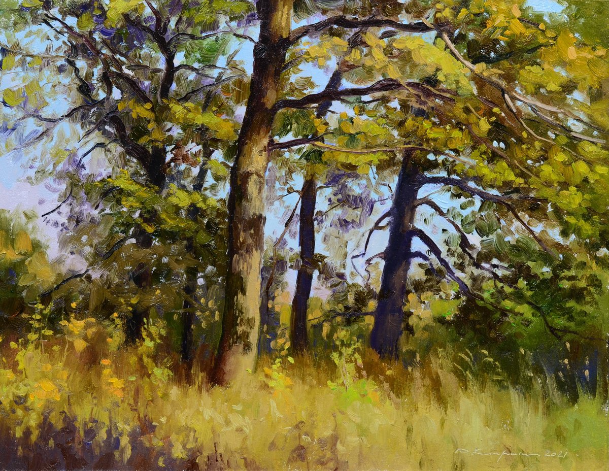 Impressionistic Landscape Oil Painting By Ruslan Kiprych, 12 X 9", Oak Trees, Original Artwork