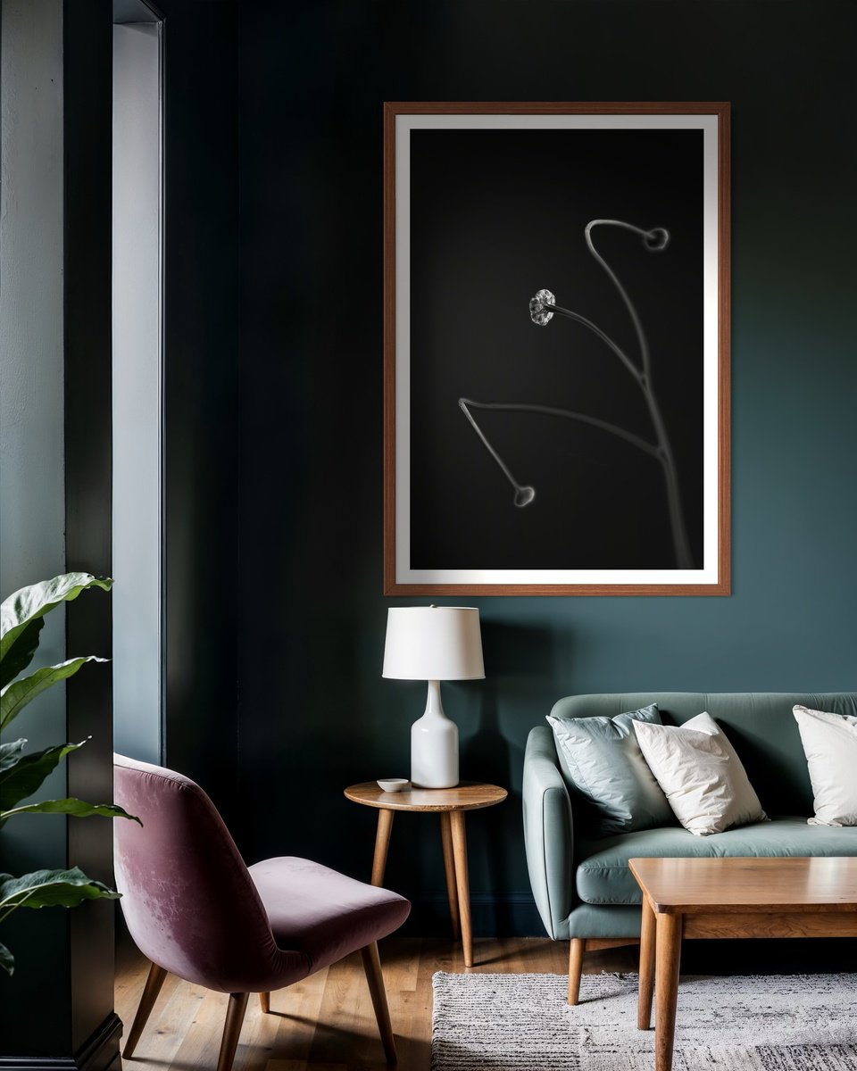 Botanical Photograph By Tal Paz-Fridman, 42 X 62", In Light Of Current Events Vii, Original Artwork