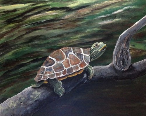 Sunning Turtle by Donna Daniels