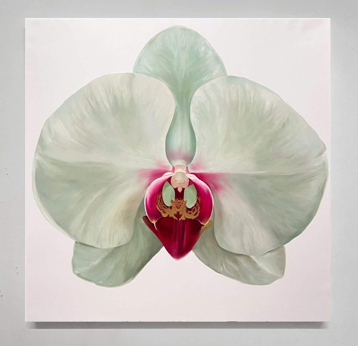 Photorealistic Oil Painting , Orchid M By Rosi Roys, 39 X 39, Artwork For Sale On Artfinder