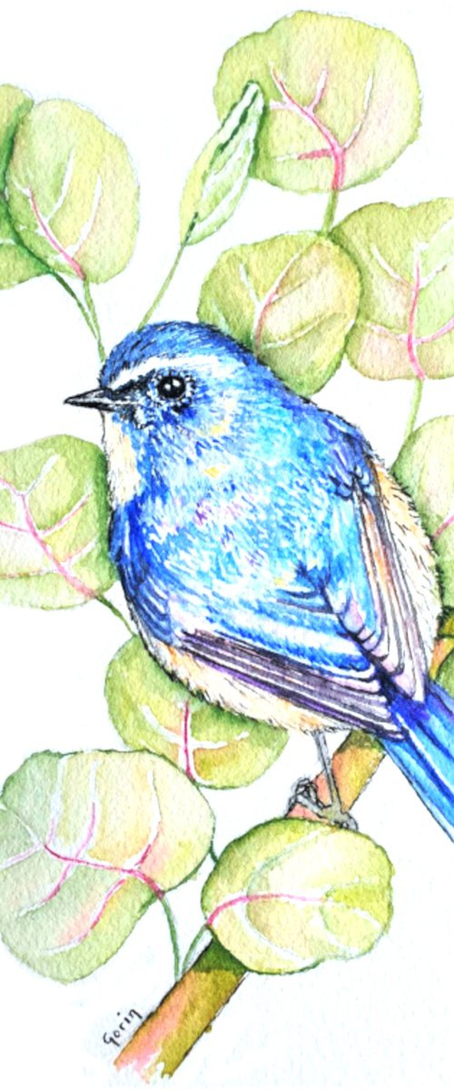 Bluebird by Marian Gorin