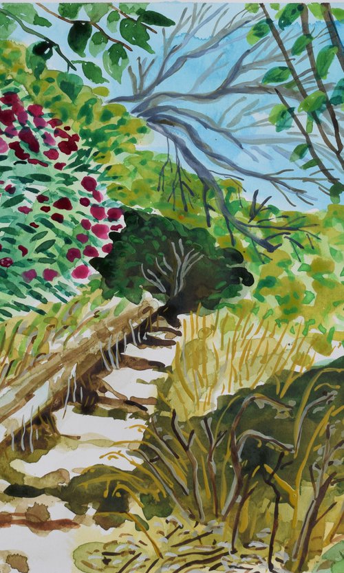 Pathway to playa sardina by Kirsty Wain