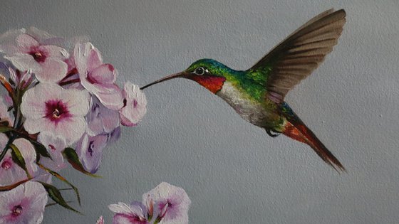 Hummingbird and Pink Flowers