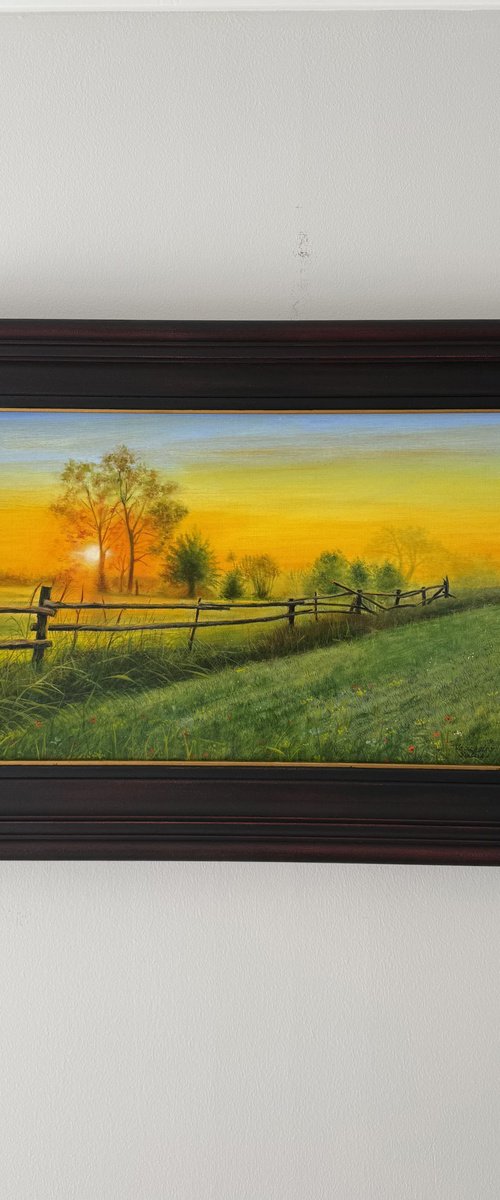 Countryside Sunset by Veaceslav Salaru