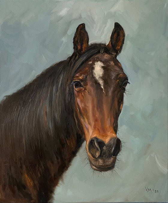 Portrait of a horse