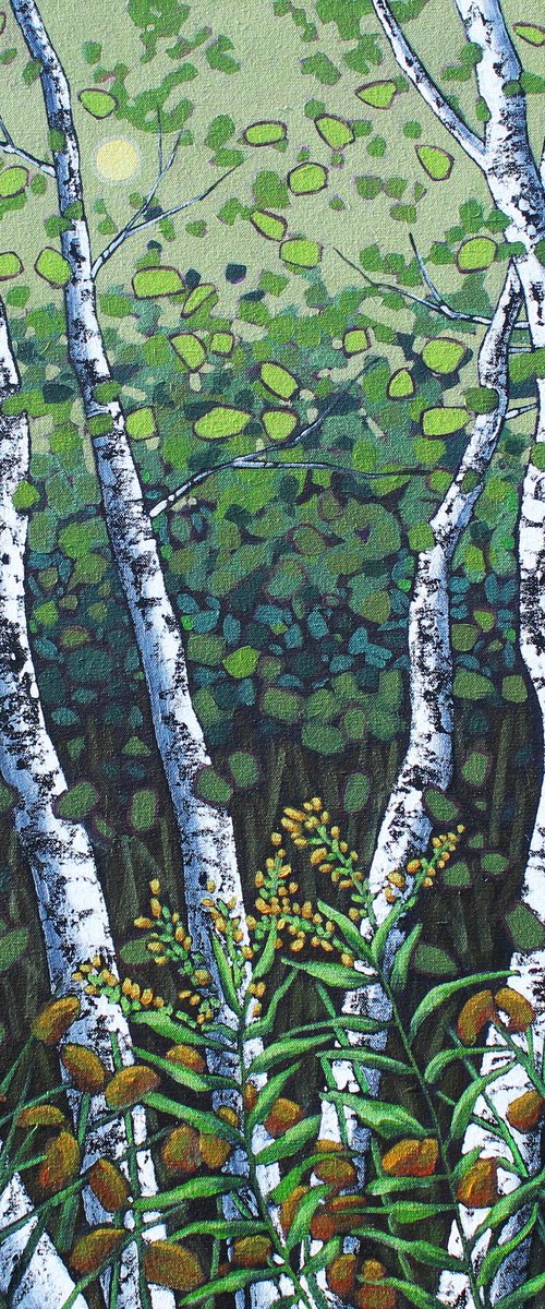 Birches with Goldenrod by Sage Mountain Studio