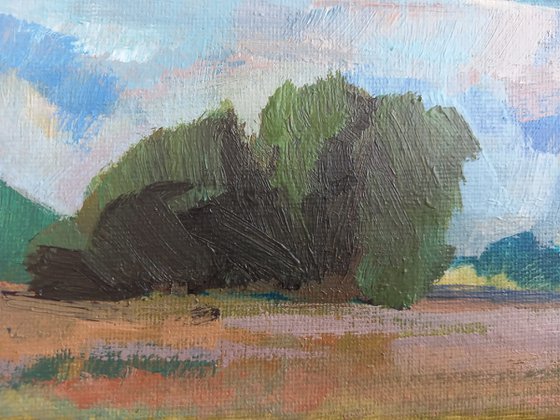 Longrun Meadow