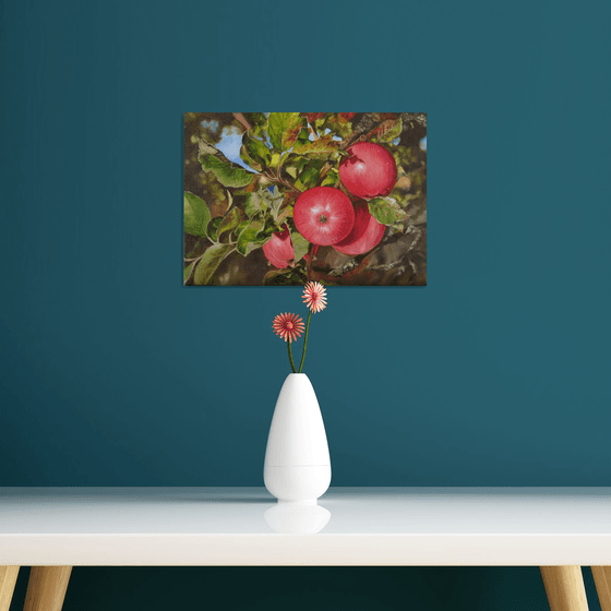 Red Apples on Tree Branch