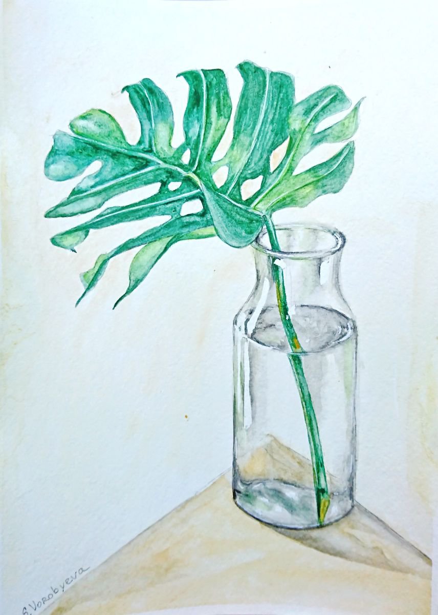Monstera leaf in a bottle. Still life watercolor painting. by Svetlana Vorobyeva