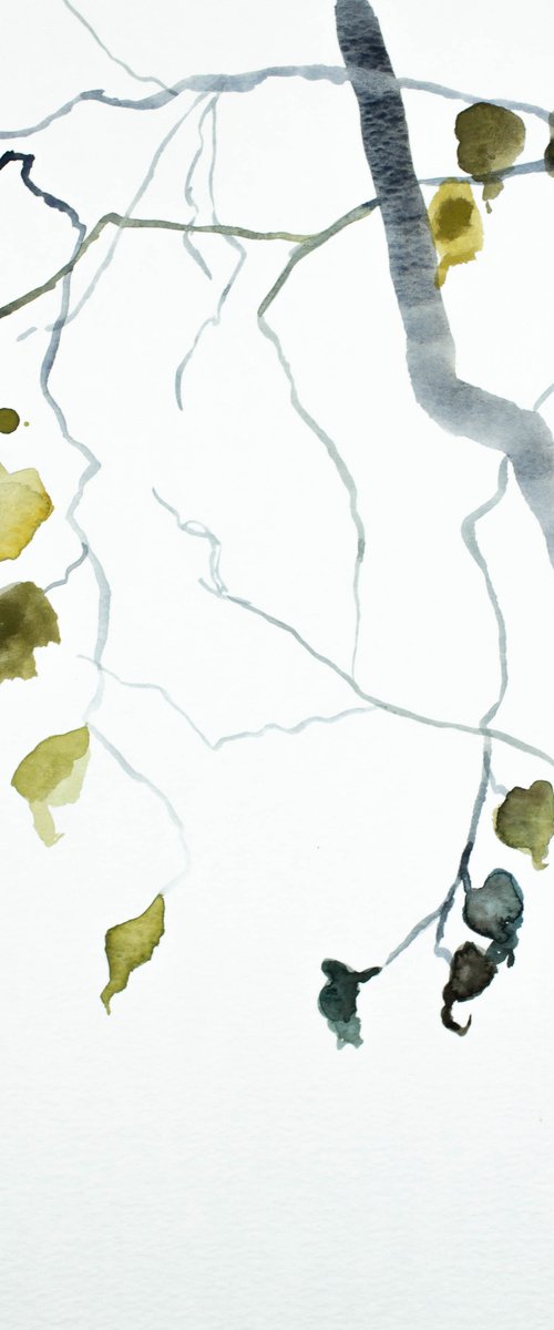 Branch Study No. 16 by Elizabeth Becker