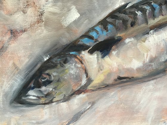 Mackerel