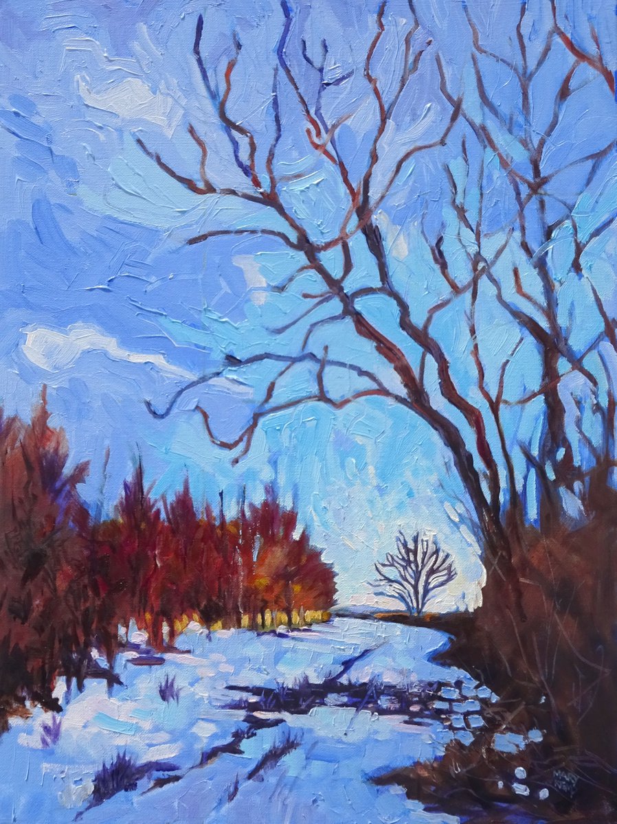 Early Light Snow - Winter Landscape by Mary Kemp