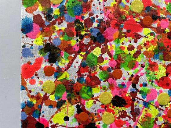 P010 Little style Pollock