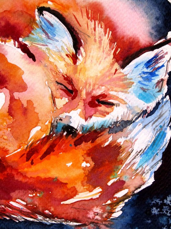 Sleeping red fox