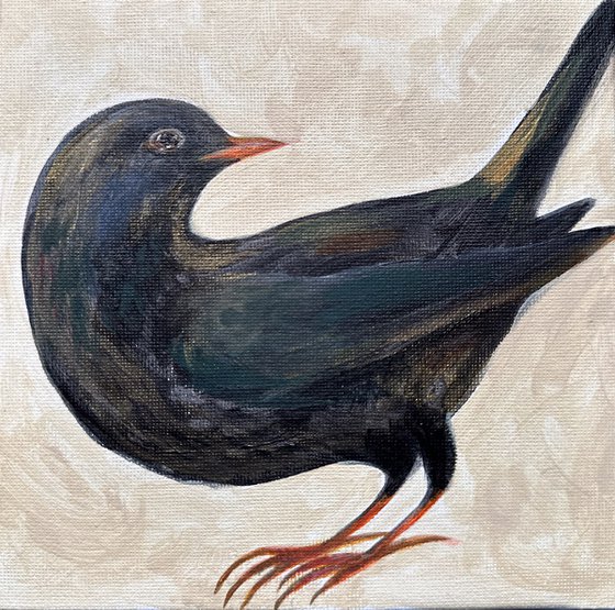 Blackbird