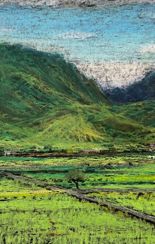 Chihshang Ricefields 2, Taitung by David Lloyd
