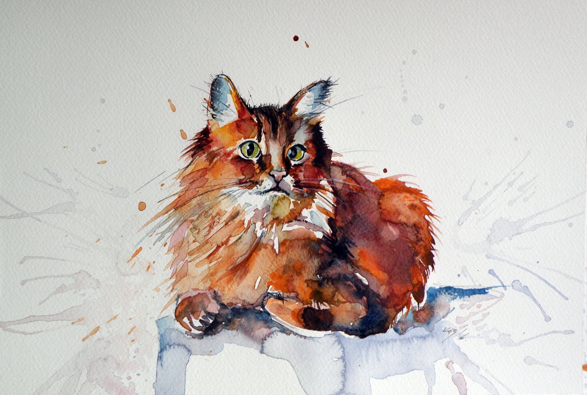 Cat resting II /37,5 x 26 cm/ by Kovcs Anna Brigitta