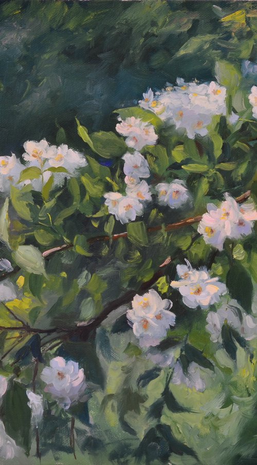 Jasmine branch by Ruslan Kiprych