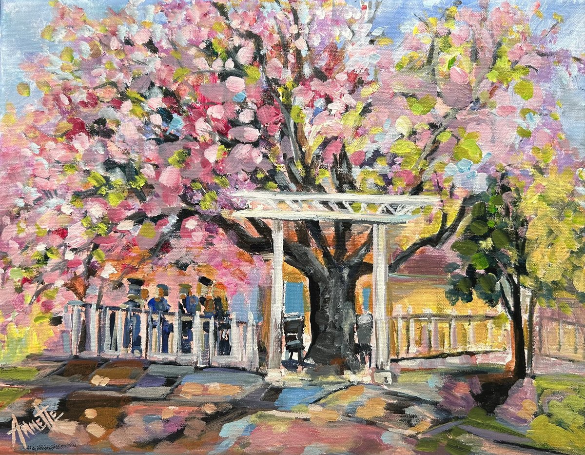  Cherry Tree And Tea By Annette Wolters, 16 X 12, Artwork For Sale On Artfinder