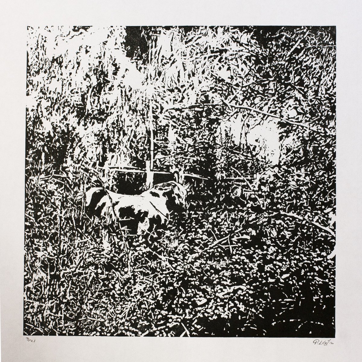 Landscape Linocut By Przemek Kret, 16 X 16", Forest Edge, Original Artwork