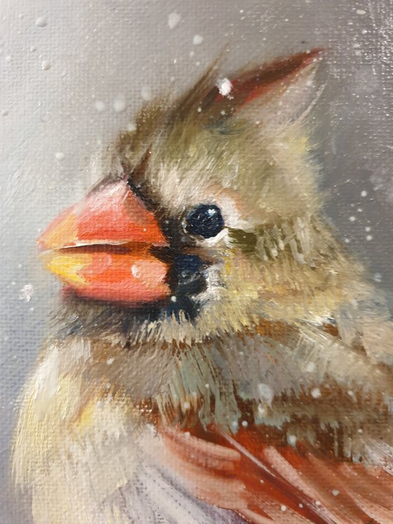 "Snow is falling.  " Cardinal of virgin   birds 2021