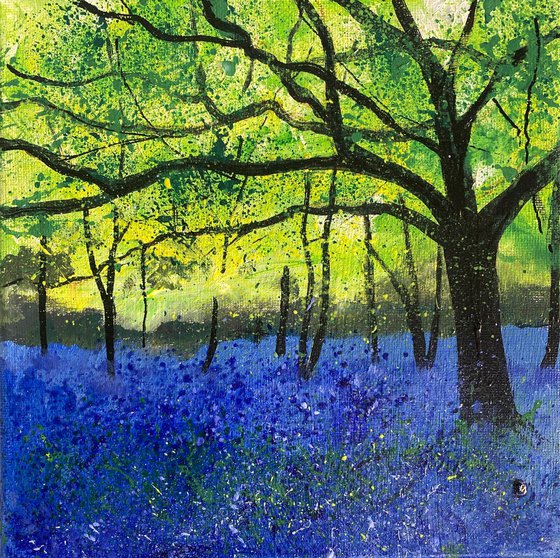 Bluebell Woodland