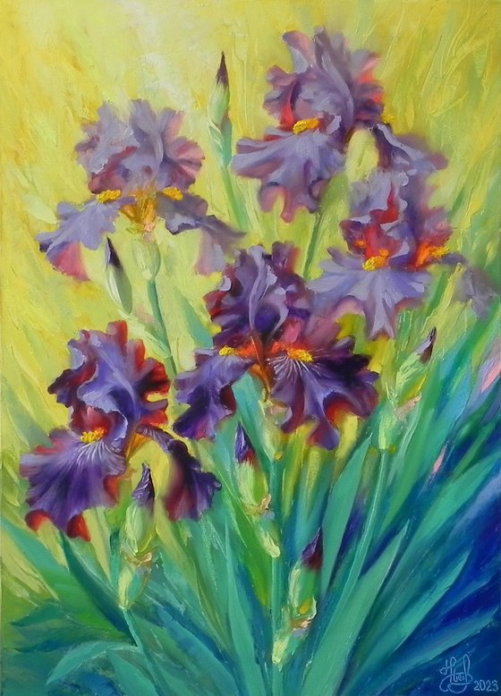 "Iris"