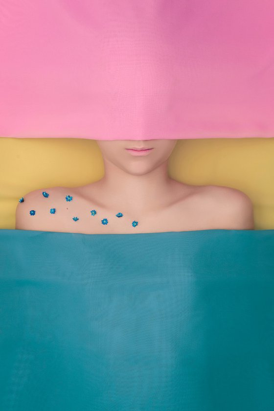Color as Shelter