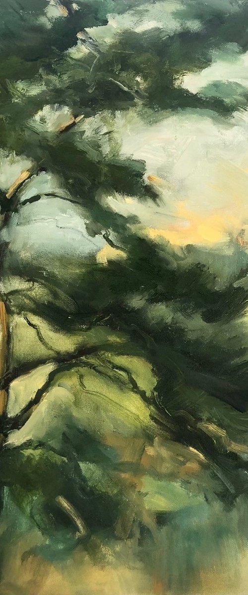 Dancing Light by Joanna Farrow
