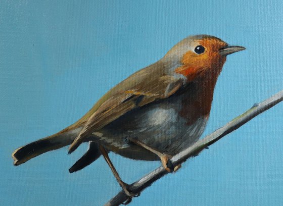 Robin on a Wire, Bird Artwork, Animal Art Framed