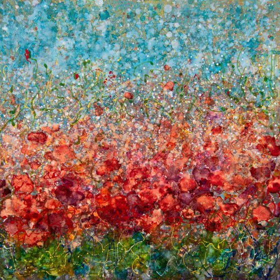 Field of Spring Poppies by @OLenaArt