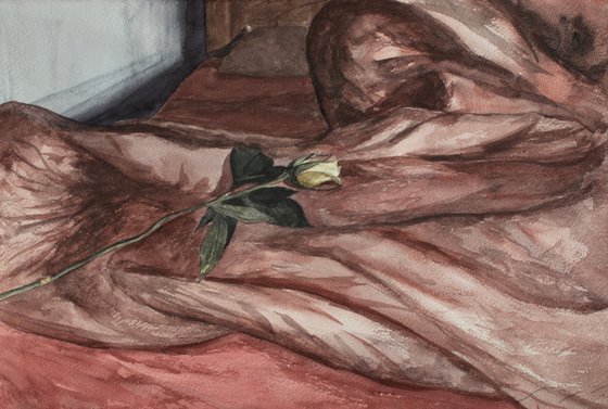 Sleeping Rose