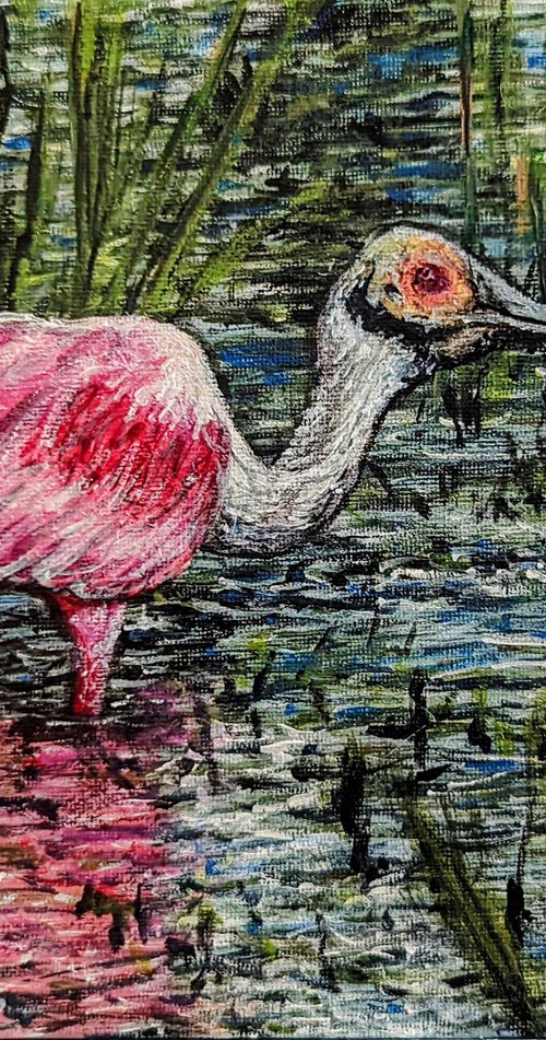 Spoonbill by Robbie Potter