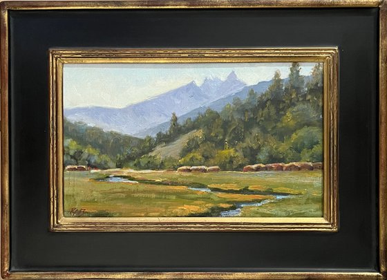 Sawtooth Summer - Oil Painting