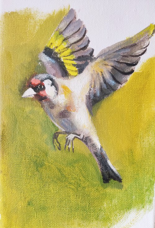 Goldfinch by HELINDA (Olga Müller)