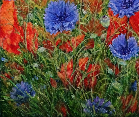 Poppies with cornflowers.