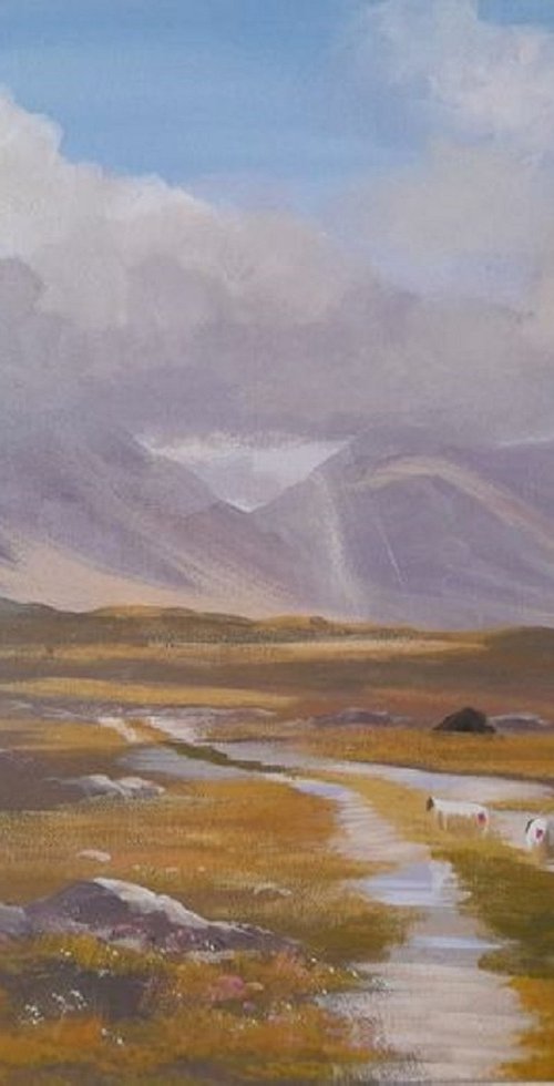connemara showers by cathal o malley