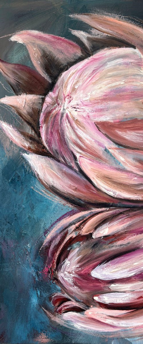 Proteas in Stillness by Lyndsay Tarren-Leister
