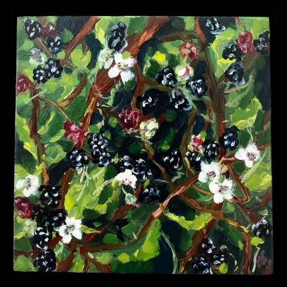 Blackberries and Brambles