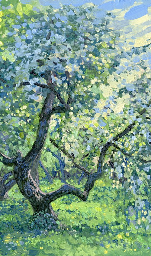 Apple tree in bloom. Kolomenskoye by Simon Kozhin