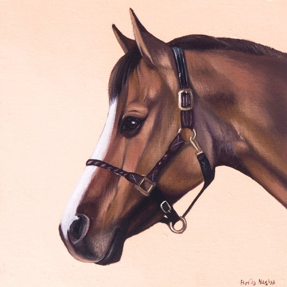 Horse Portrait 80