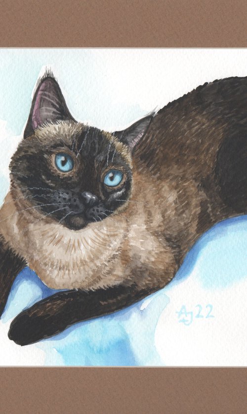 Siamese cat by Jolanta Czarnecka
