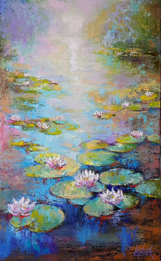 Morning Pond Water lilies