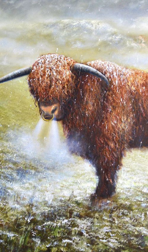 Highlander by Joseph  Charman