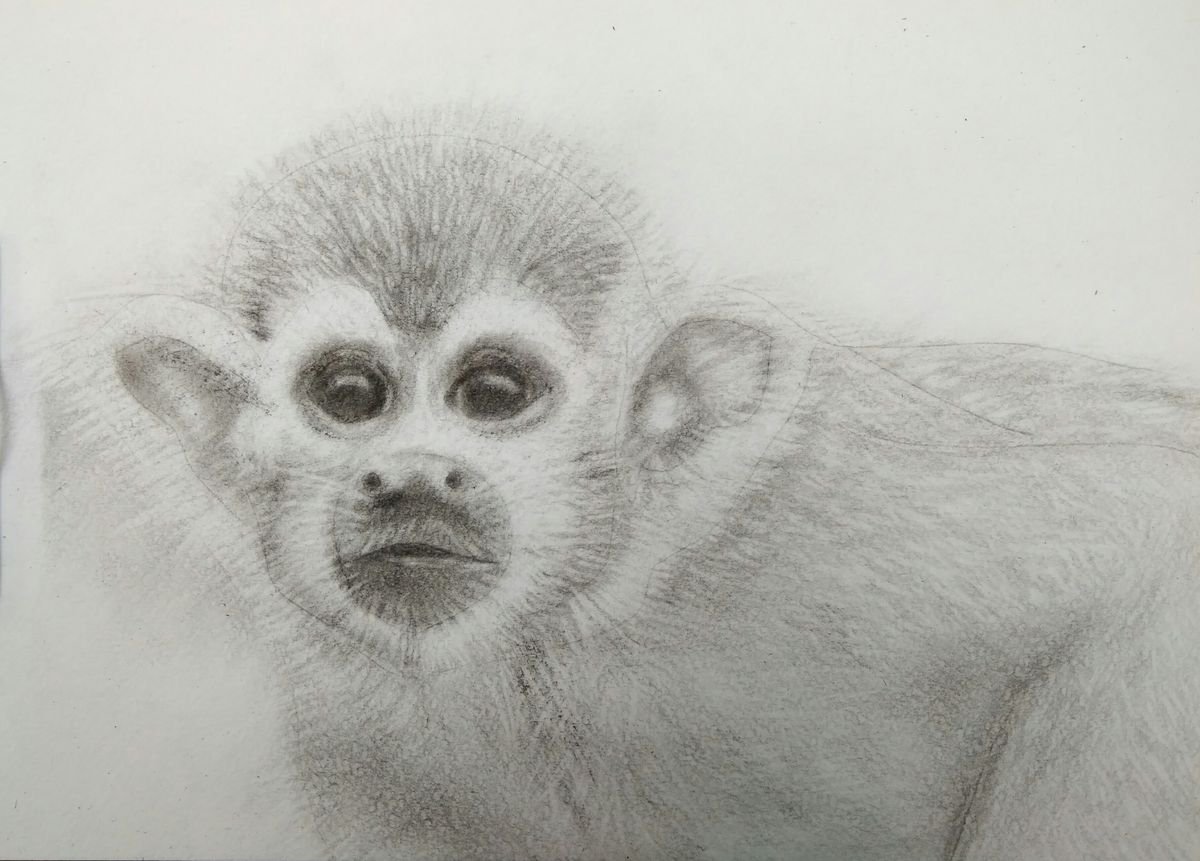 Monkey by Yulia Berseneva