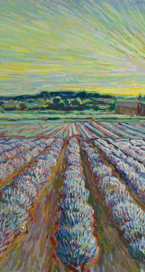 Lavender field Norfolk by Nigel Dickerson