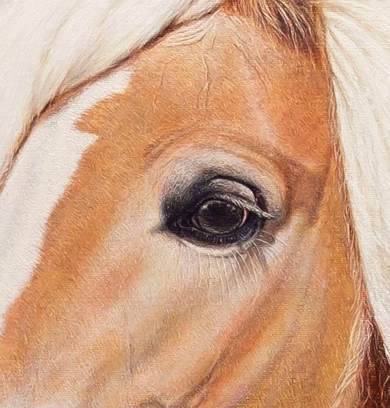 Helia, Serene Soul,Hors.